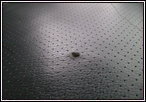 Audi Leather Restoration
