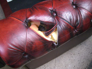 Car Seat Restoration