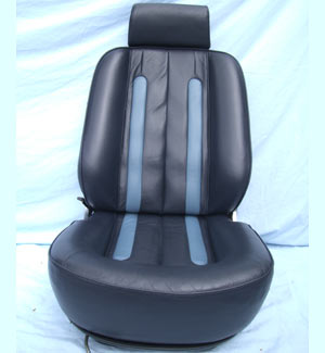 Car Seat Restoration